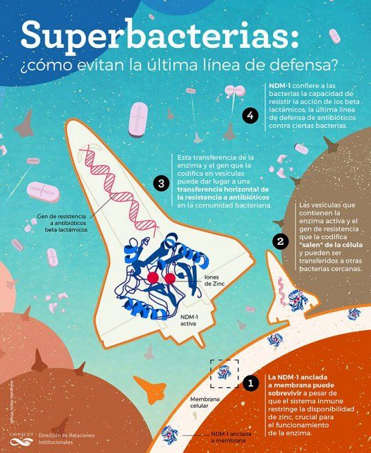 Infografía del Conicet