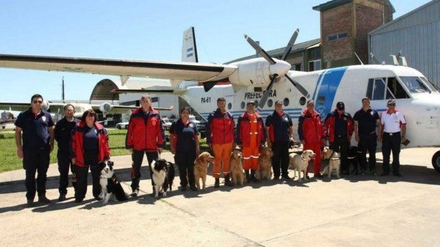 Los perros utilizados para el rastrillaje.