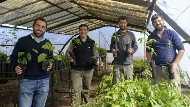 Nicolás Cordero (director de Parques y Paseos) junto a los viveristas Nicolás Ramos, Diego Solís y César Massi.